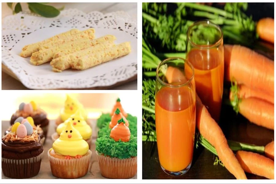 Carrot Juice Powder 3