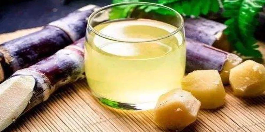 Sugarcane Juice Powder