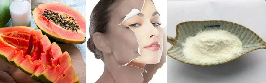 Wholesale Papain Enzyme Powder Wholesale Papain Enzyme Powder