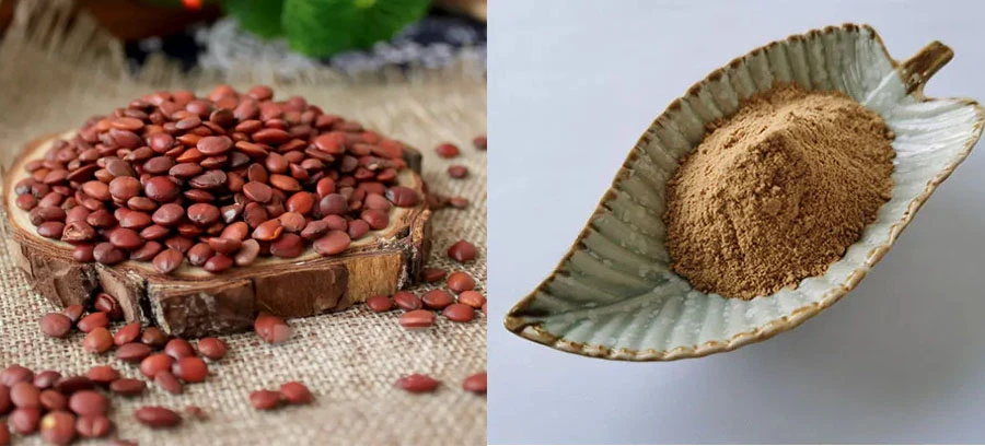 Wholesale Jujube Extract Jujuboside Wholesale Jujube Extract Jujuboside