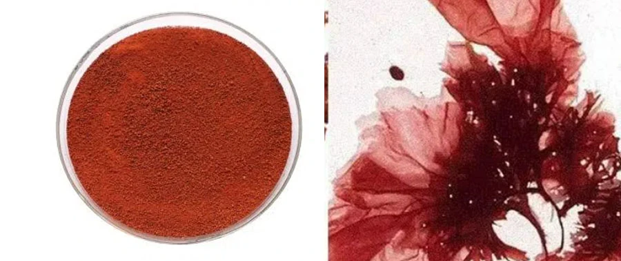 natural astaxanthin powder