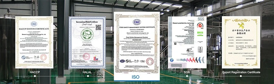 Certificate-3