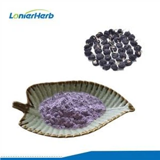 Fekete goji bogyó por