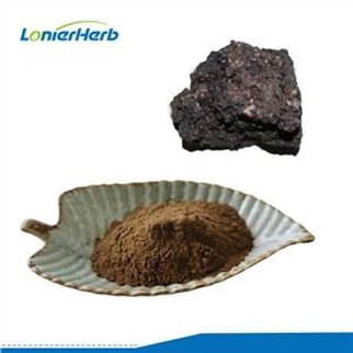 Shilajit kivonat por