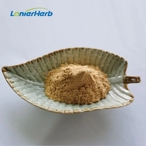 Camellia Seed Extract