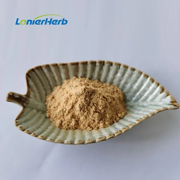 Camellia Seed Extract