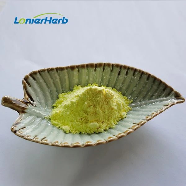 Ginger Root Extract Powder