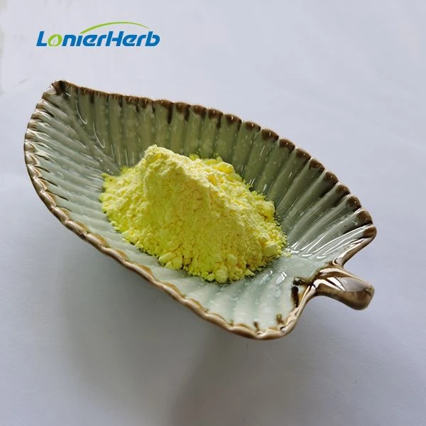 Ginger Root Extract Powder