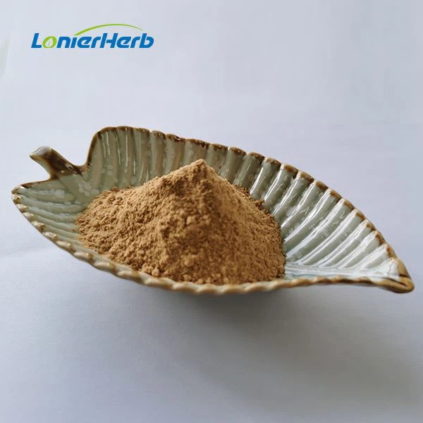 Onion Extract Powder