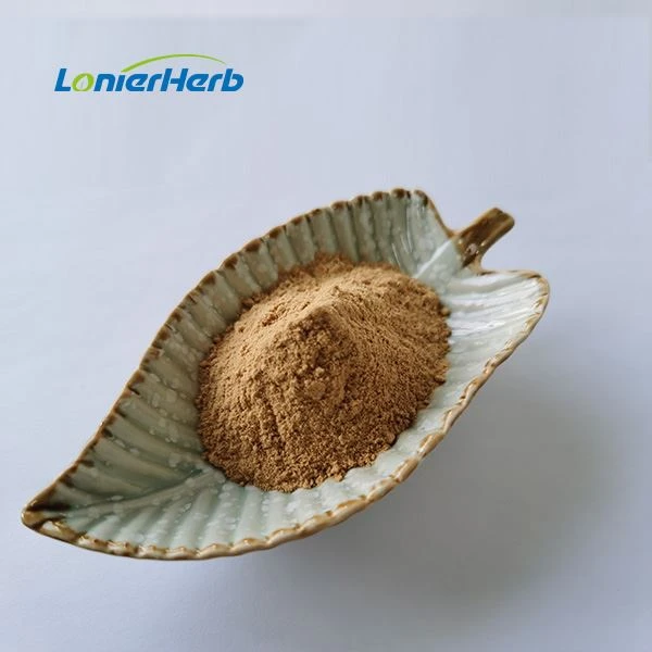 Peppermint Extract Powder
