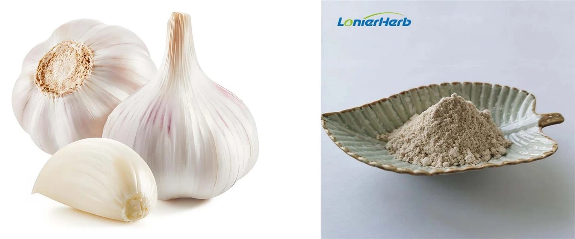 odorless garlic extrac odorless garlic extrac